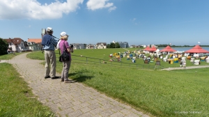 Street Deich Cuxhaven