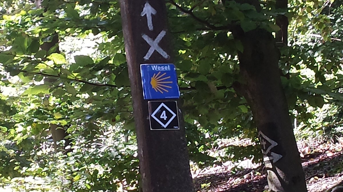 20150928_132646.jpg5. November 2016