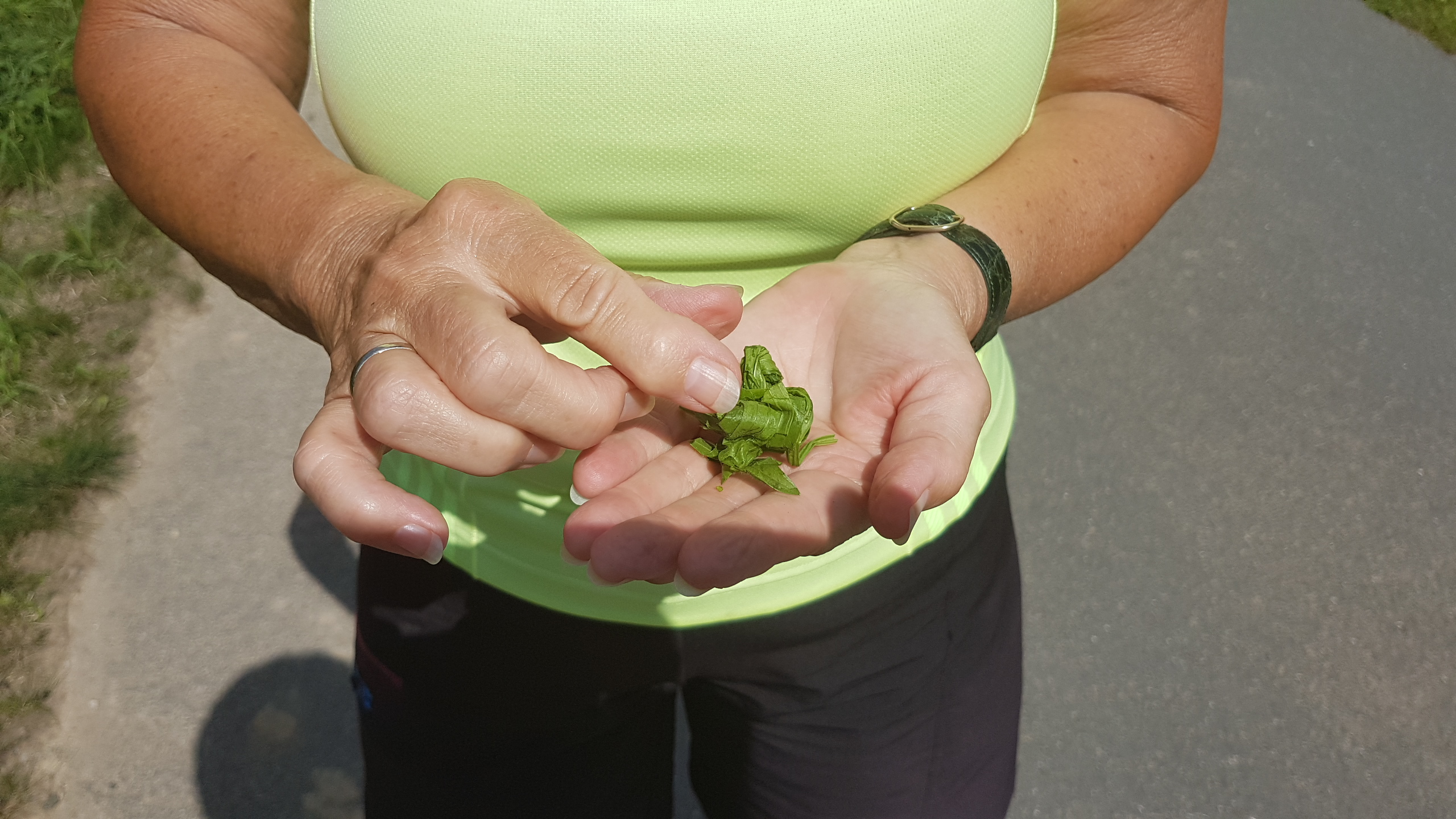 20170807_121022.jpg	 7. August 2017