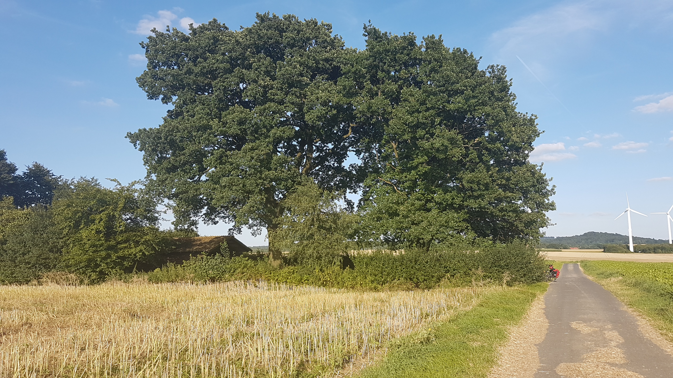 20170807_183510.jpg	 7. August 2017