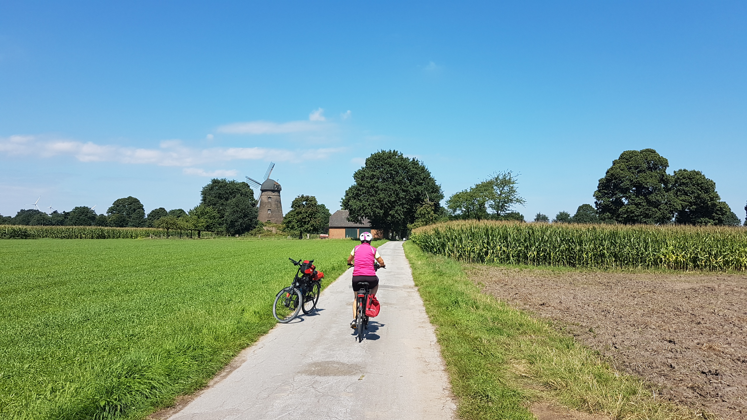 20170814_124547.jpg	 14. August 2017