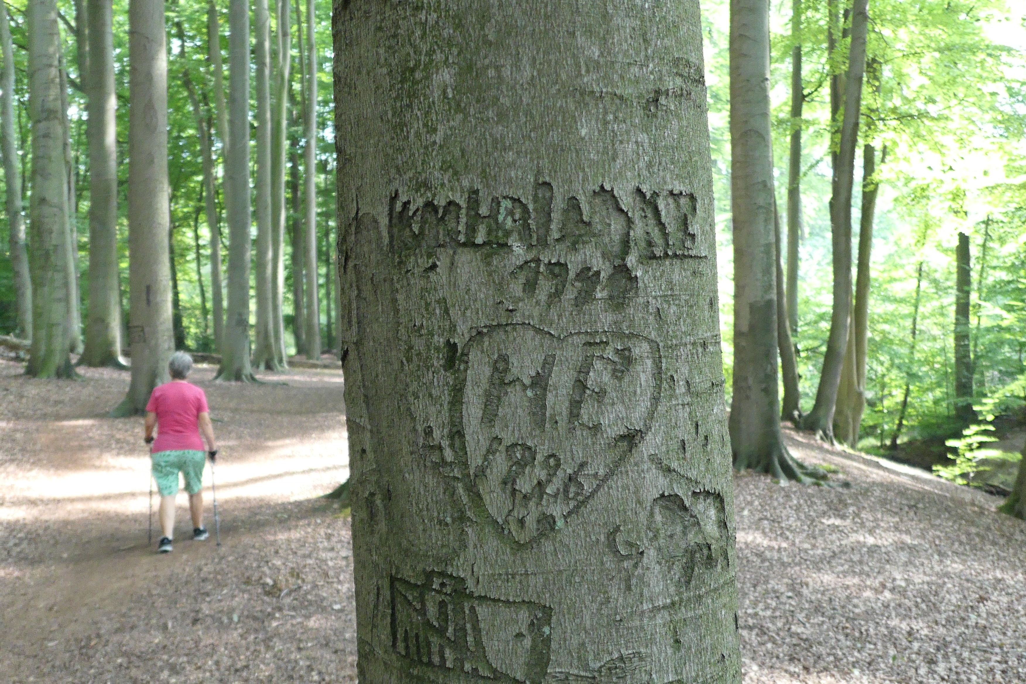 20170822_14:55 22. August 2017 Wanderung NSG Hünxer Bachtal