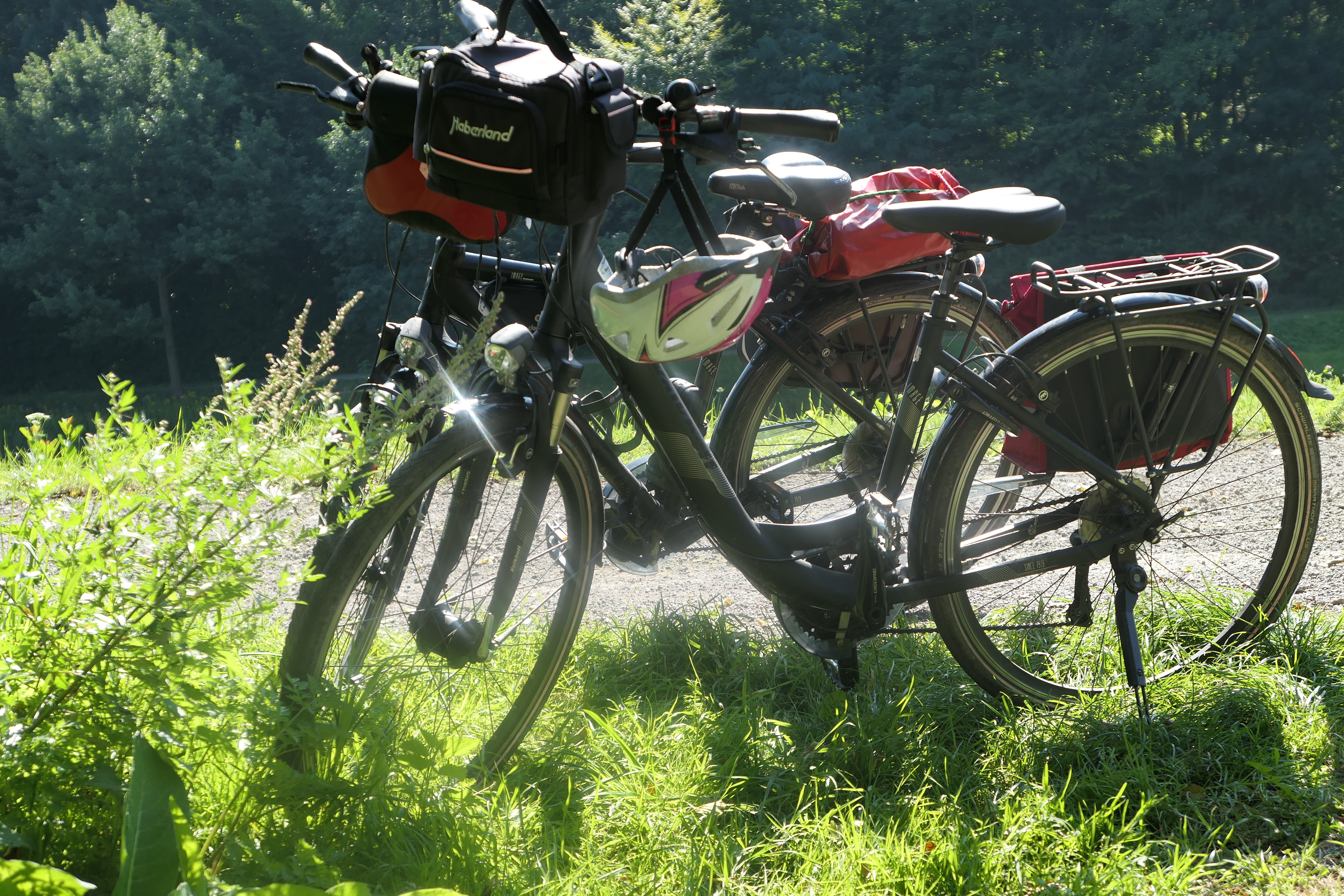 20170823_11:57 p1000157.jpg	 23. August 2017