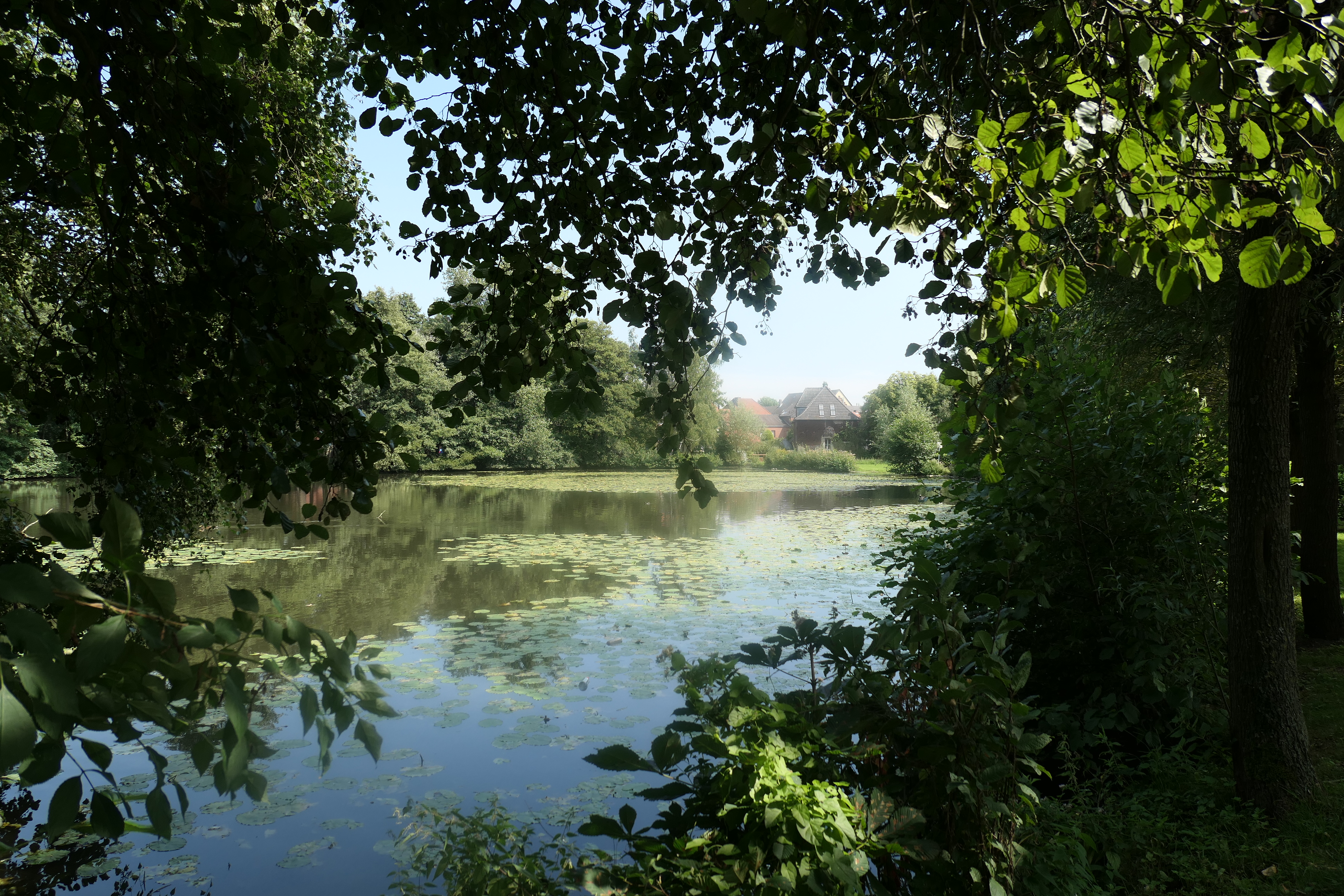 20170823_13:48 p1000166.jpg	 23. August 2017