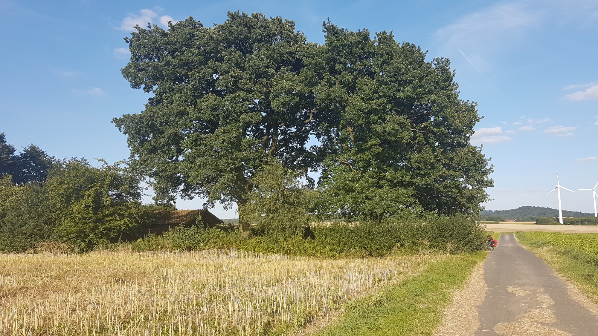 20170807_183510.jpg 7. August 2017