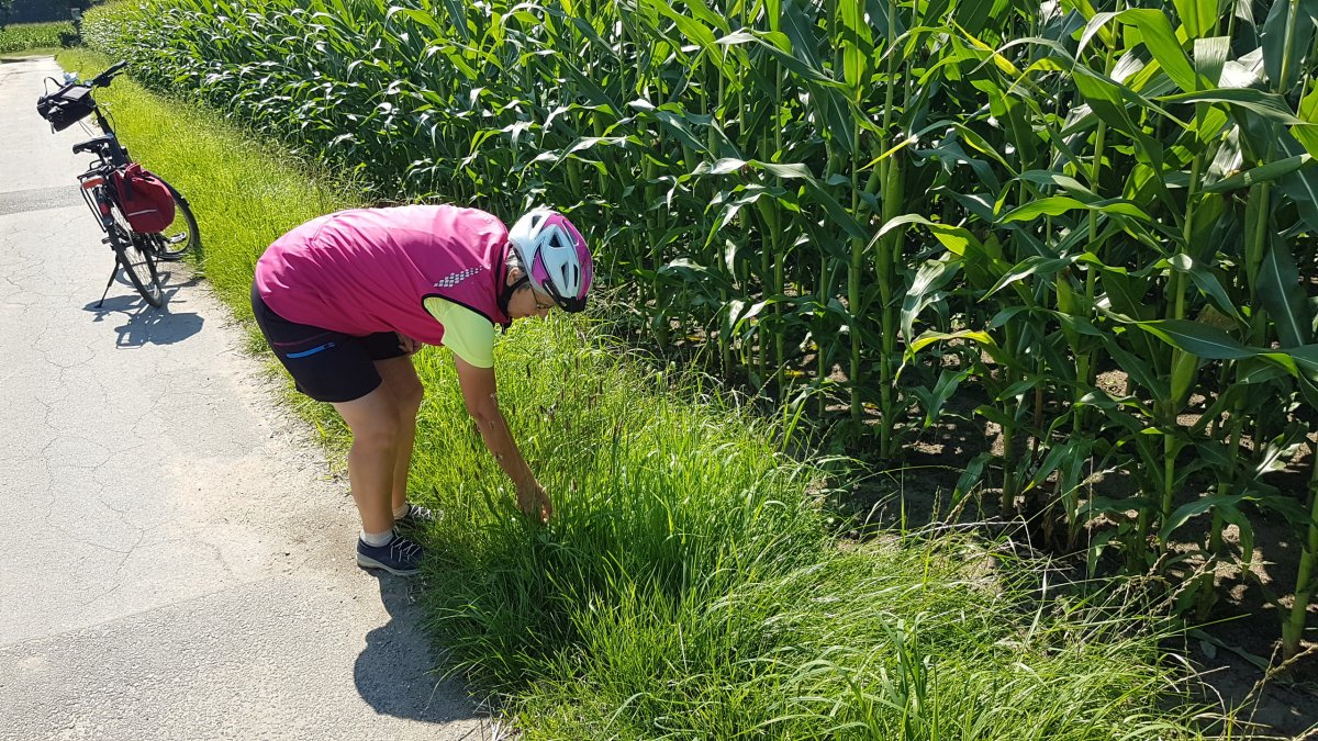 20170814_124737.jpg 14. August 2017