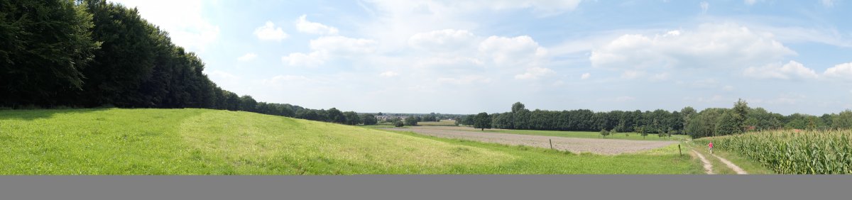 20170822_15:07 22. August 2017 Wanderung NSG Hünxer Bachtal