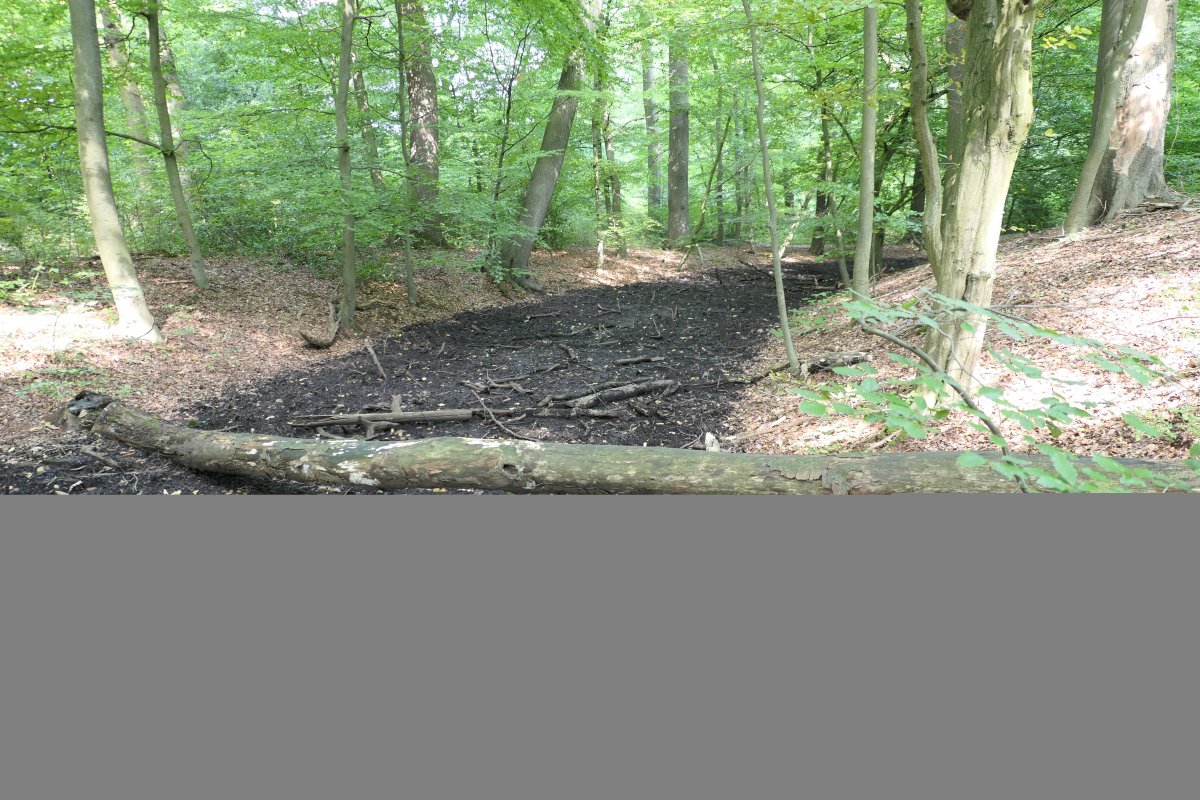 20170822_14:33 22. August 2017 Wanderung NSG Hünxer Bachtal