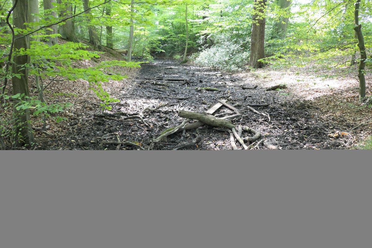20170822_14:3330 22. August 2017 Wanderung NSG Hünxer Bachtal