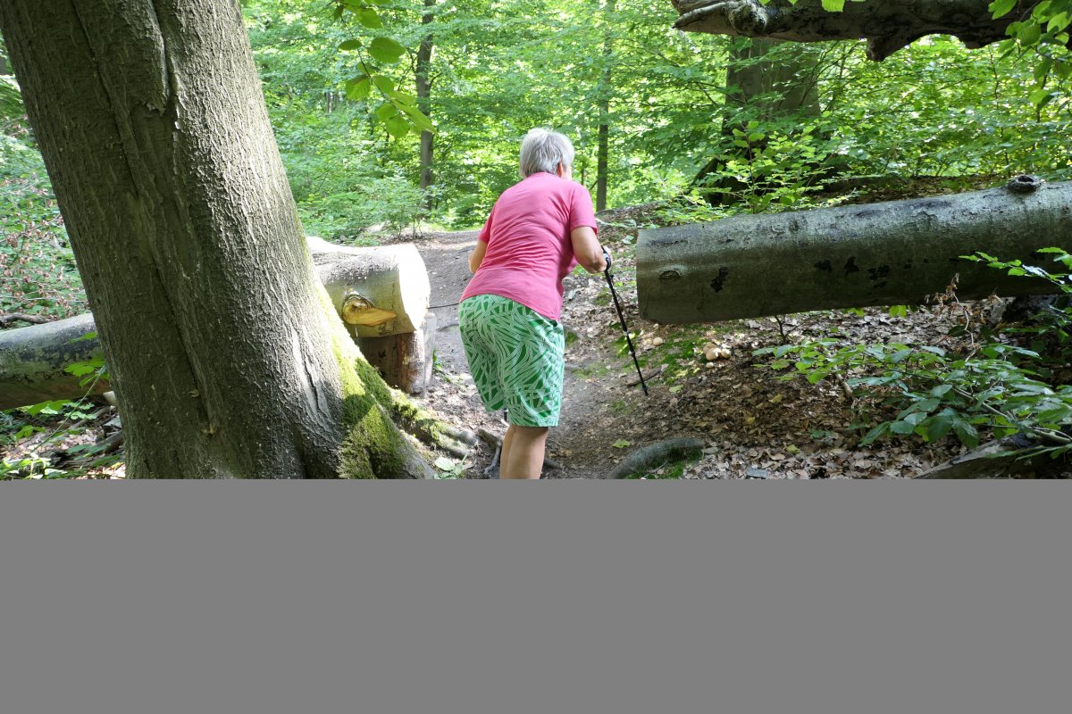 20170822_14:48 22. August 2017 Wanderung NSG Hünxer Bachtal