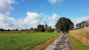 20171003_143838.jpg 3. Oktober 2017