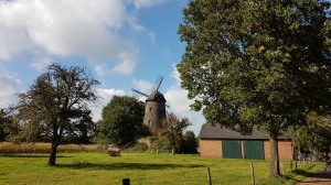 20171003_143932.jpg 3. Oktober 2017