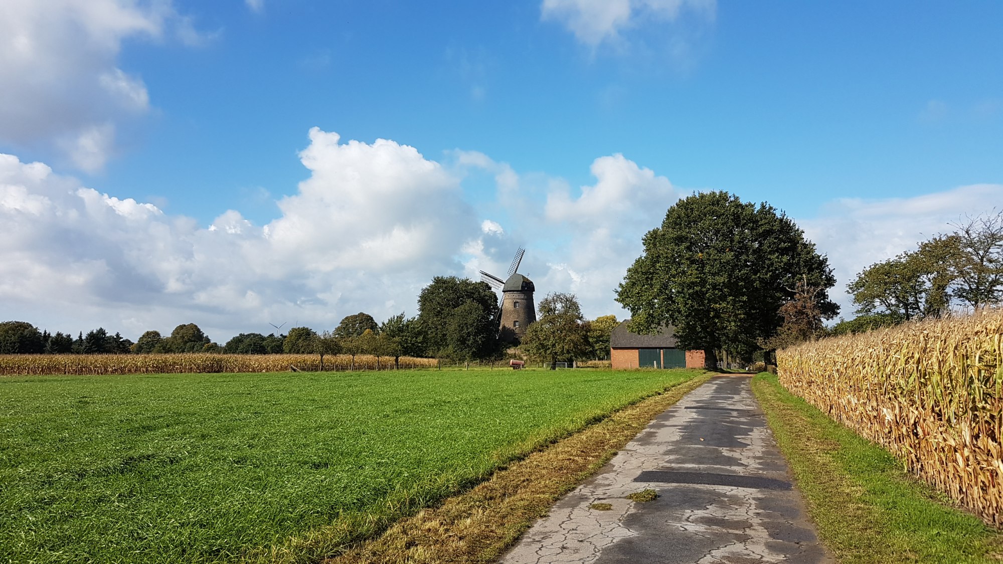 20171003_143838.jpg 3. Oktober 2017