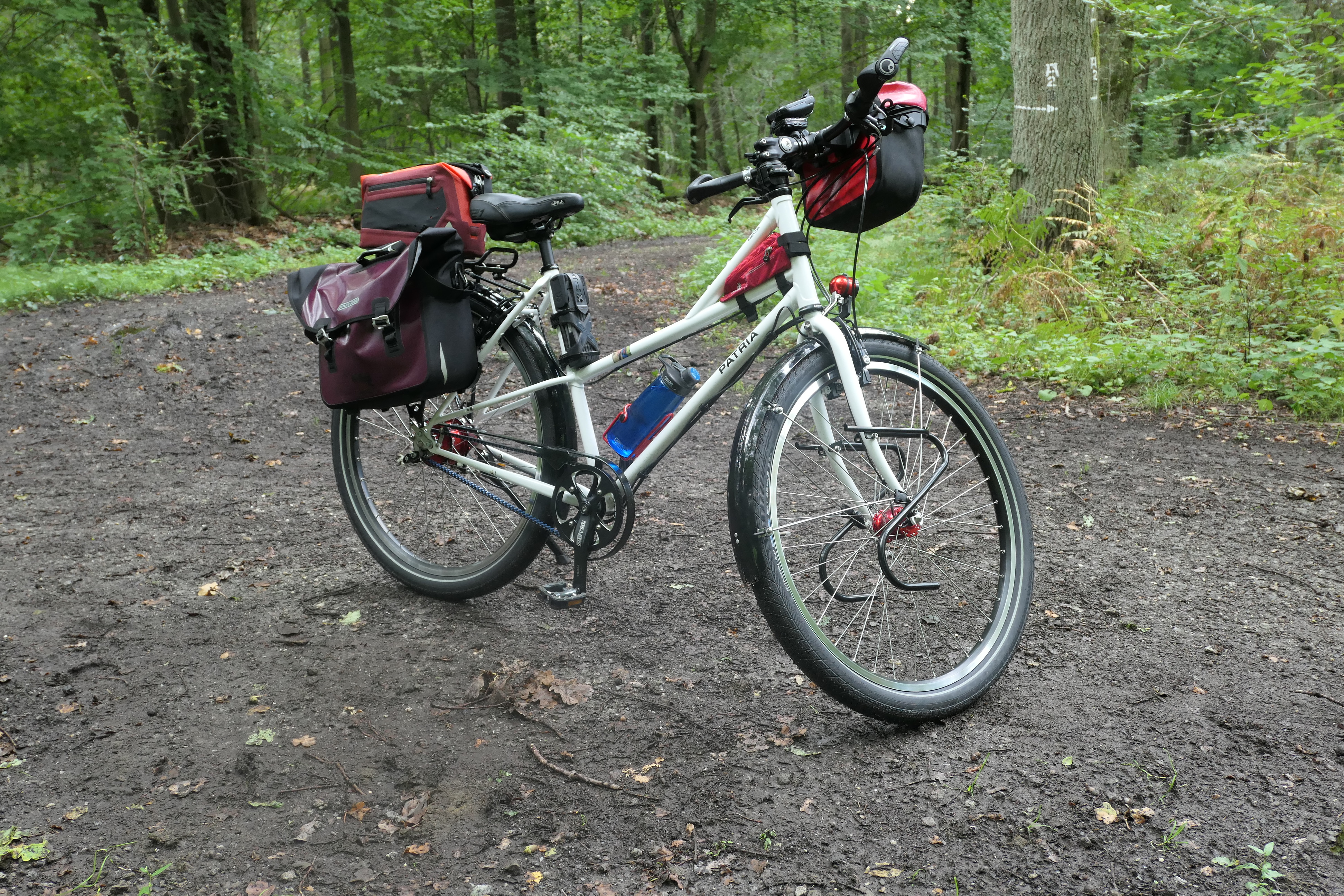 Bild 119  p1000761.jpg	 10. September 2017