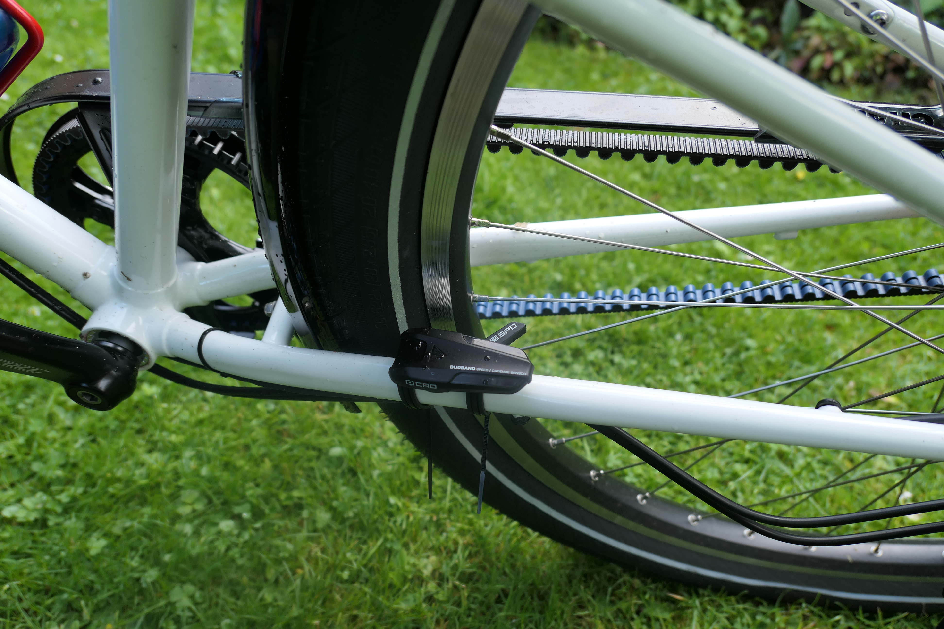 Bild 712 p1000737.jpg	 9. September 2017