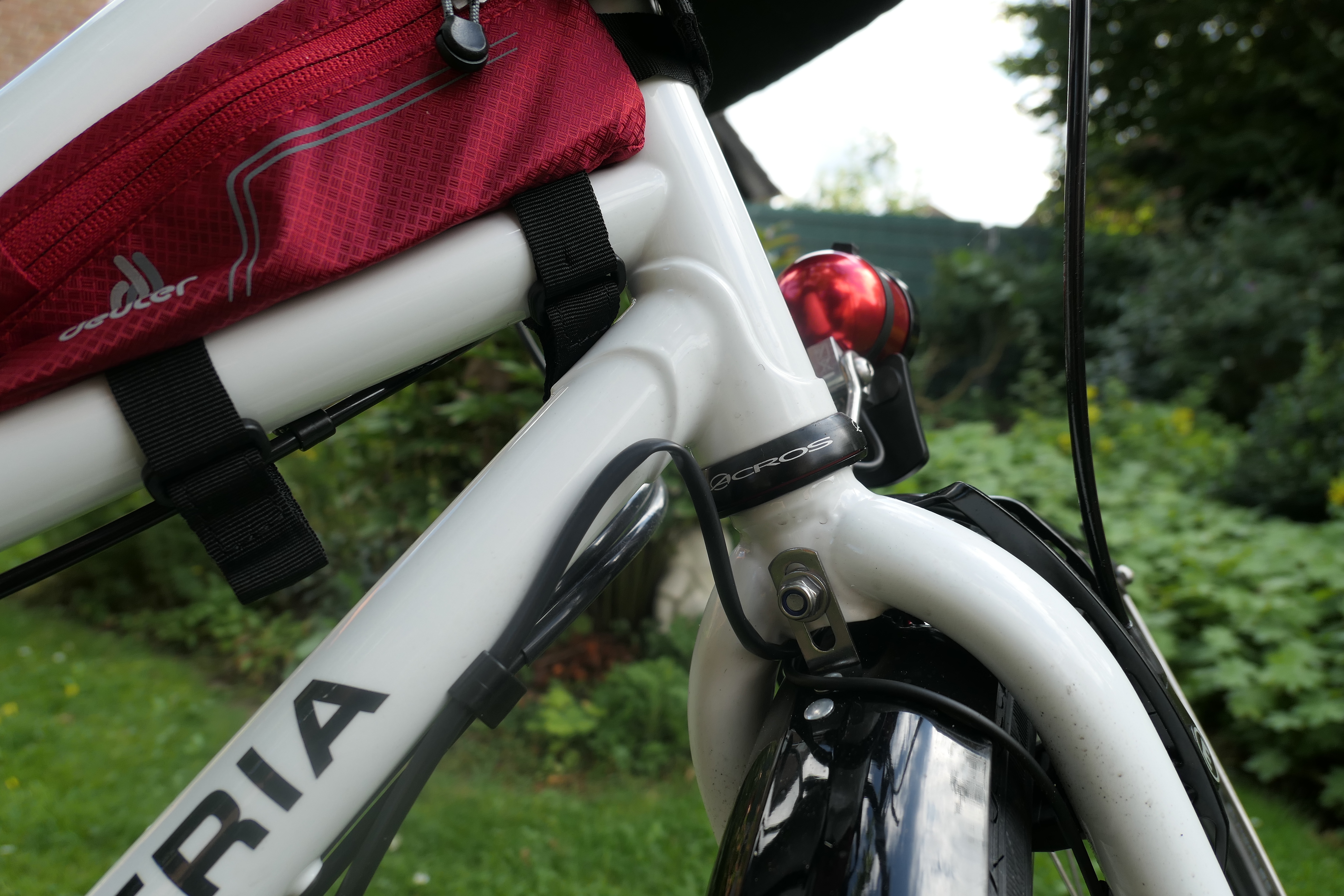 Bild 520 p1000793.jpg	 10. September 2017