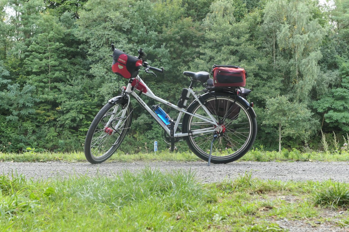 Bild 114 p1000799.jpg 11. September 2017