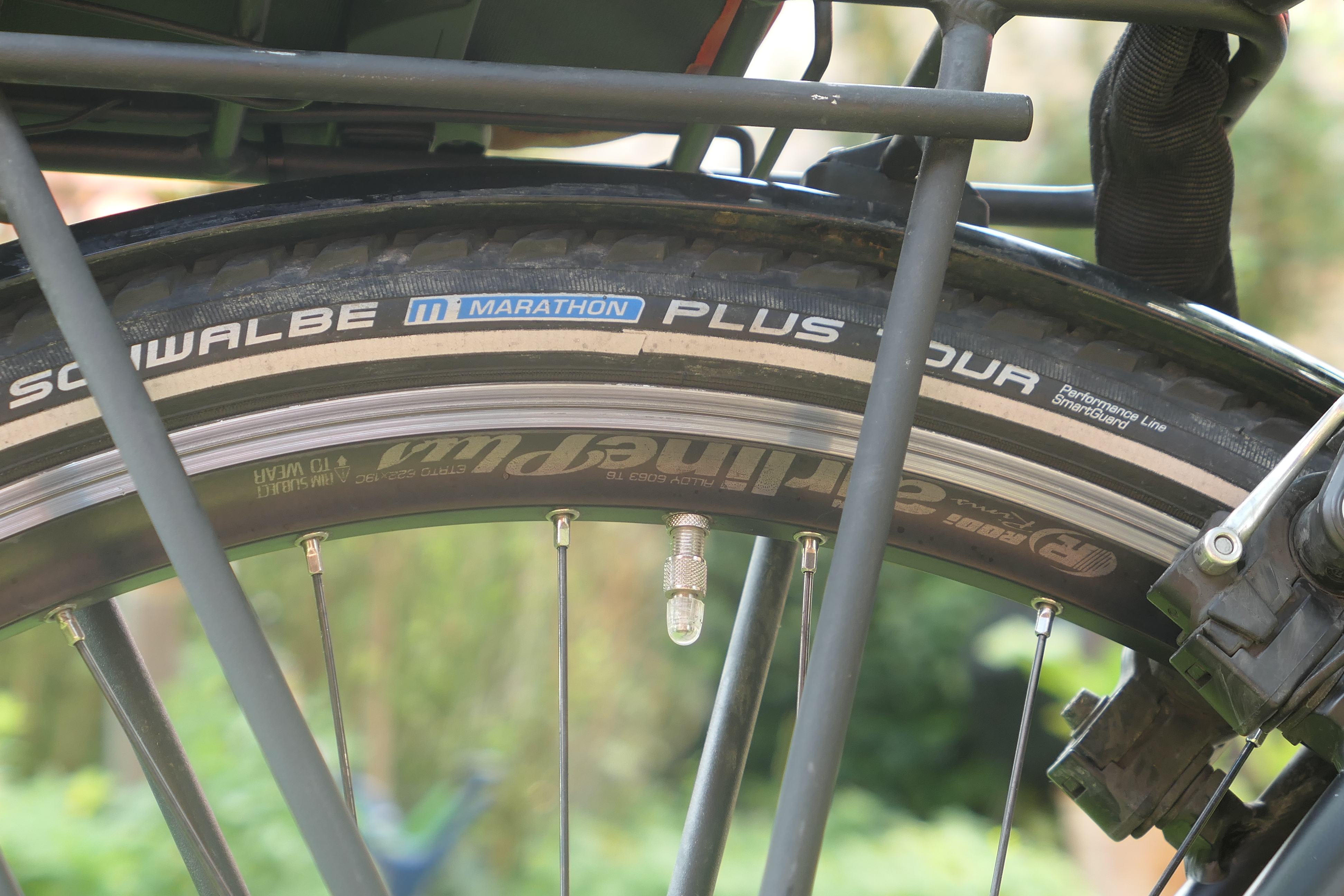 p1000639.jpg	 4. September 2017