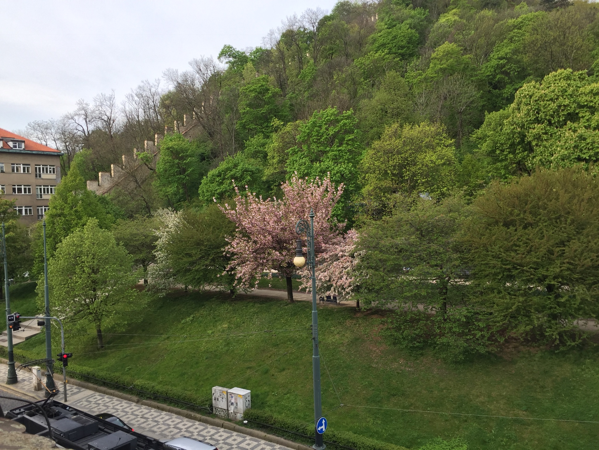 20170425_0857 01df58127a20e3c8eade4c2fec72e8448fe9b9a822.jpg