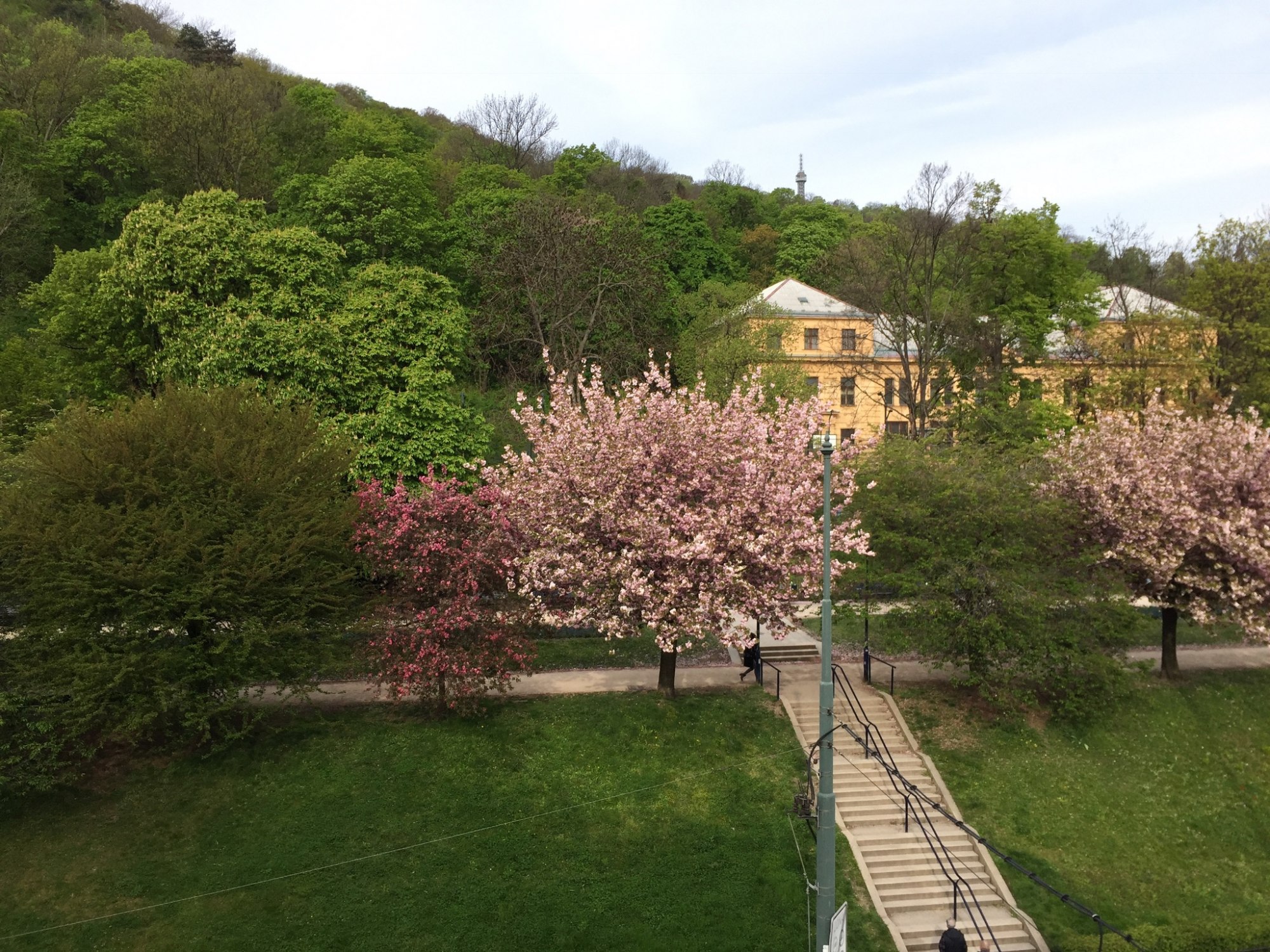 20170425_085713 0151f66b45f5f78fd379779e97bf37e36966967674.jpg