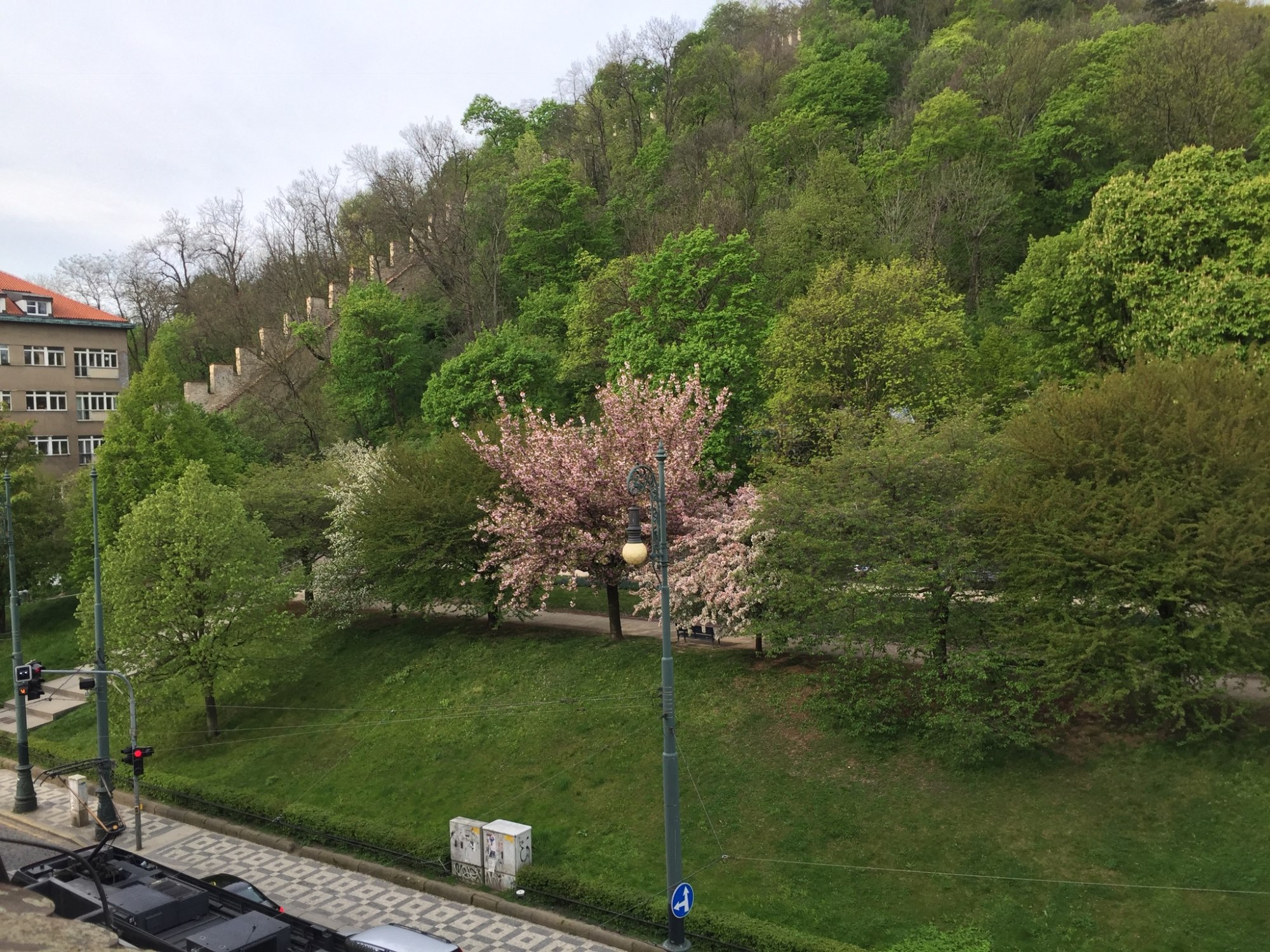 20170425_0857 01df58127a20e3c8eade4c2fec72e8448fe9b9a822.jpg