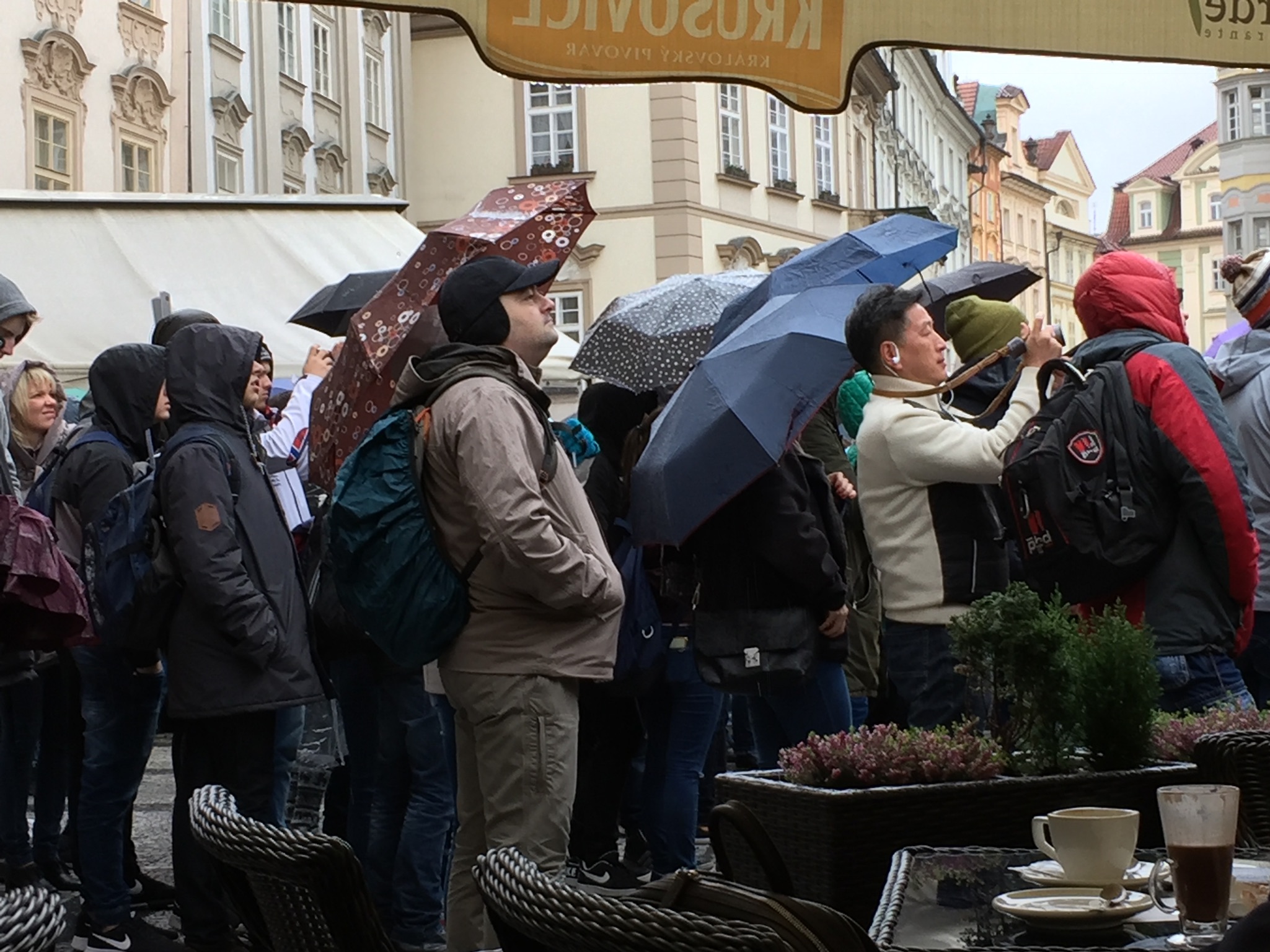 20170426_120043 010ed140126e713b8ecb5aa864b5dabf6d739969ff.jpg