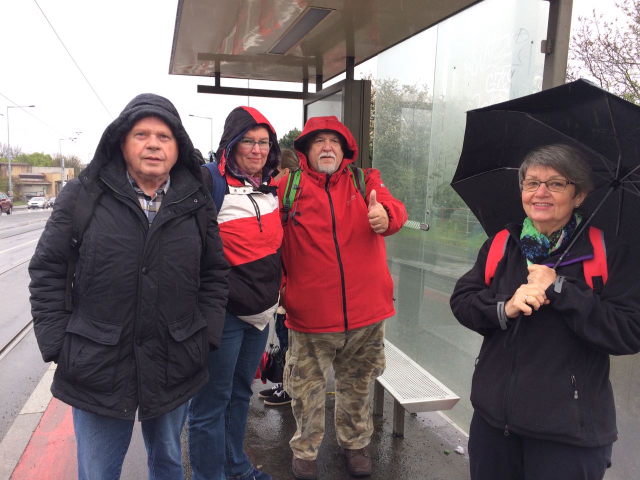 20170426_0945 wa0001.jpg