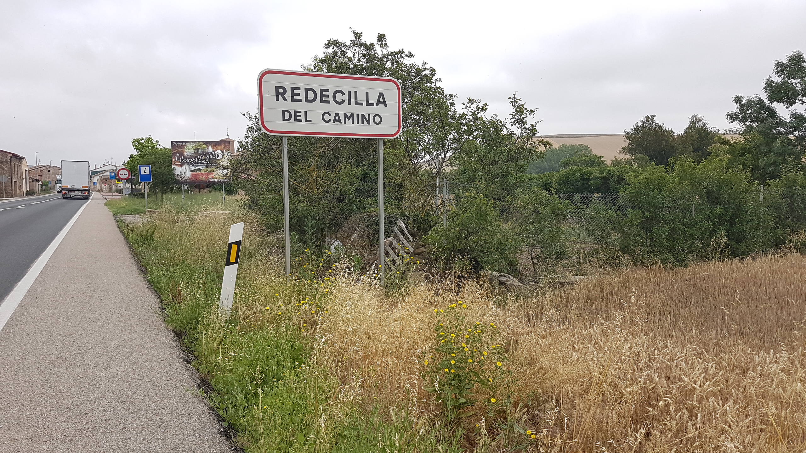 20170623_094811.jpg  23. Juni 2017