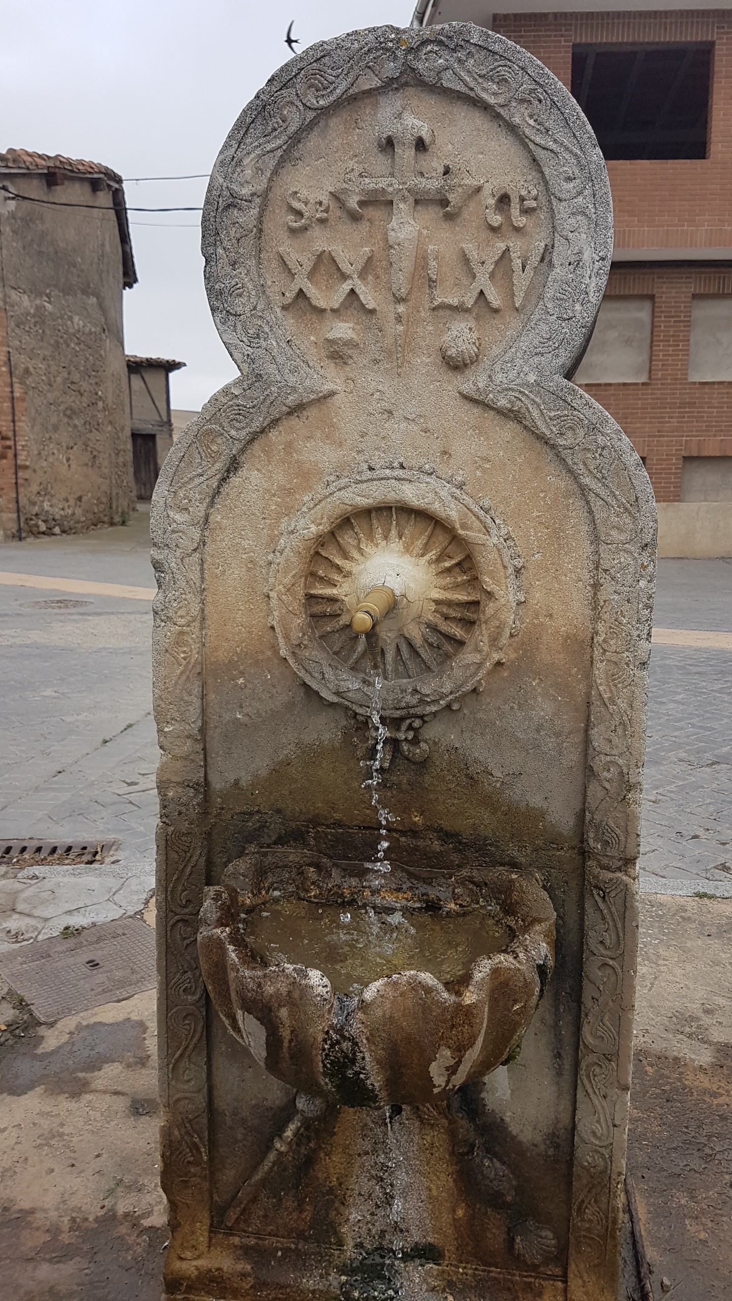 20170623_101917.jpg  23. Juni 2017