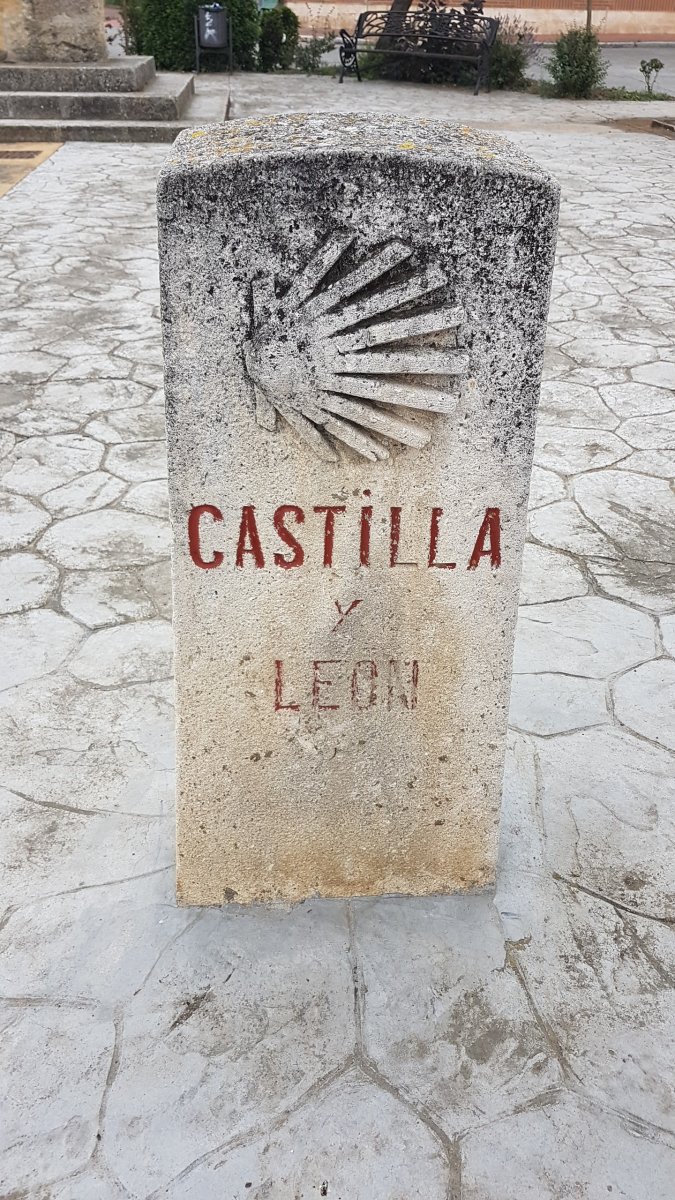 20170623_101849.jpg 23. Juni 2017