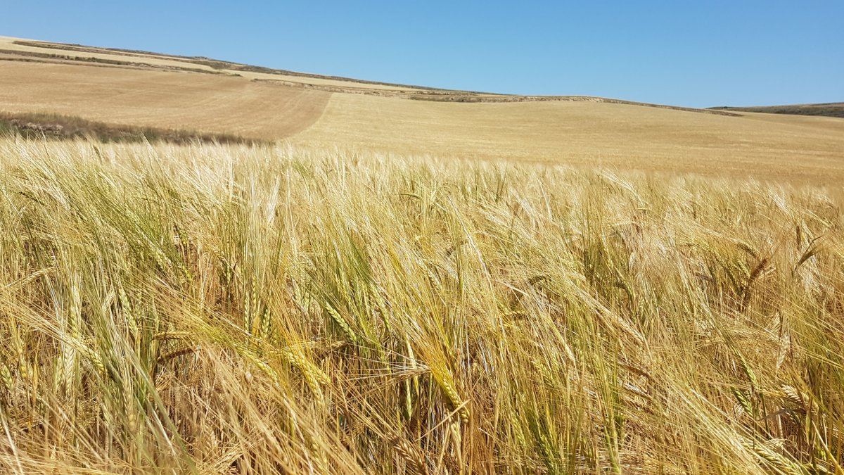 20170623_122238.jpg 23. Juni 2017