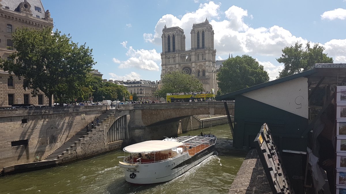 20170609_115502.jpg 9. Juni 2017 