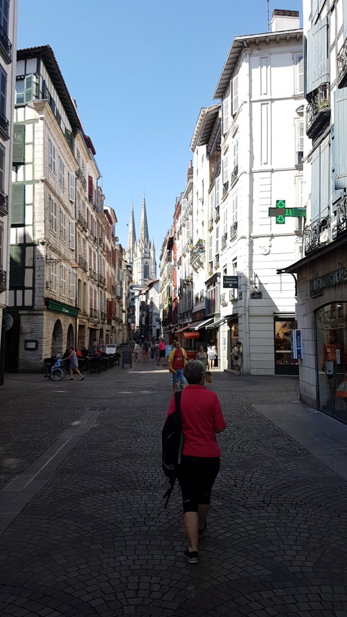 20170610_113205.jpg 10. Juni 2017 