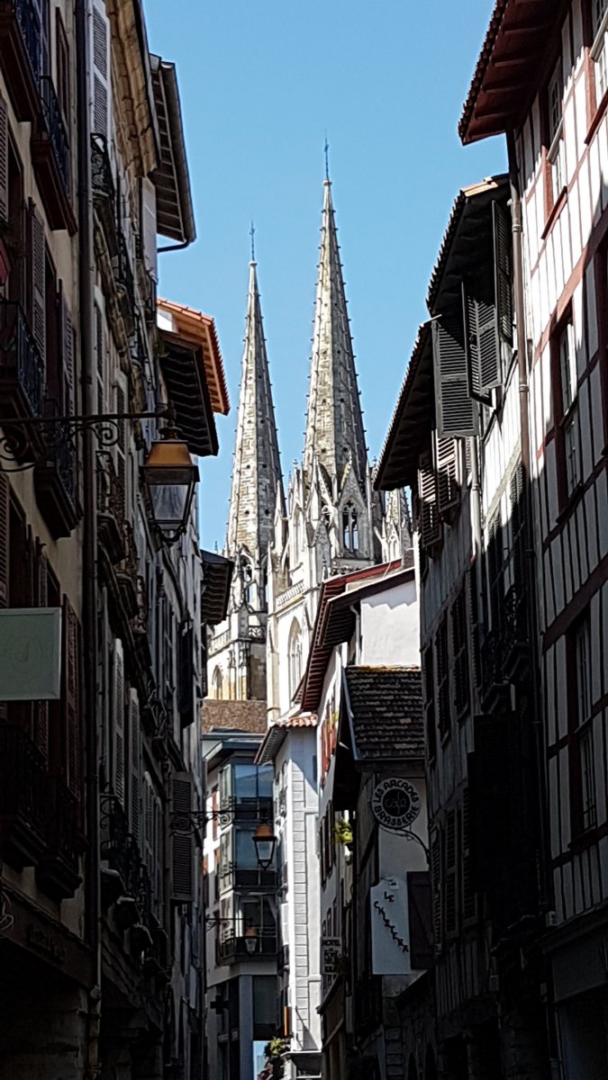 20170610_113451.jpg 10. Juni 2017 