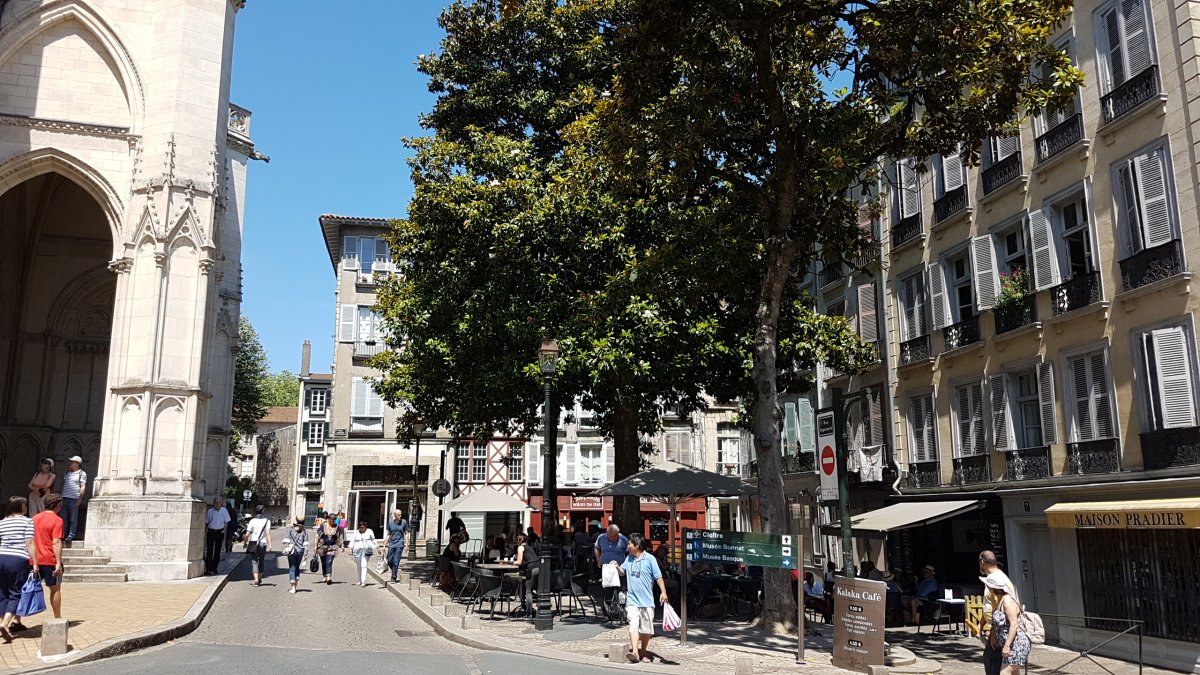 20170610_123435.jpg 10. Juni 2017 