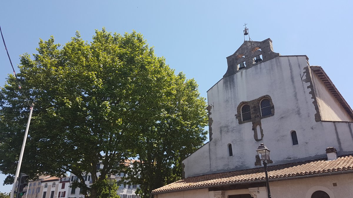 20170610_140436.jpg 10. Juni 2017