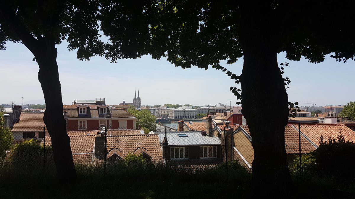 20170610_142252.jpg 10. Juni 2017 