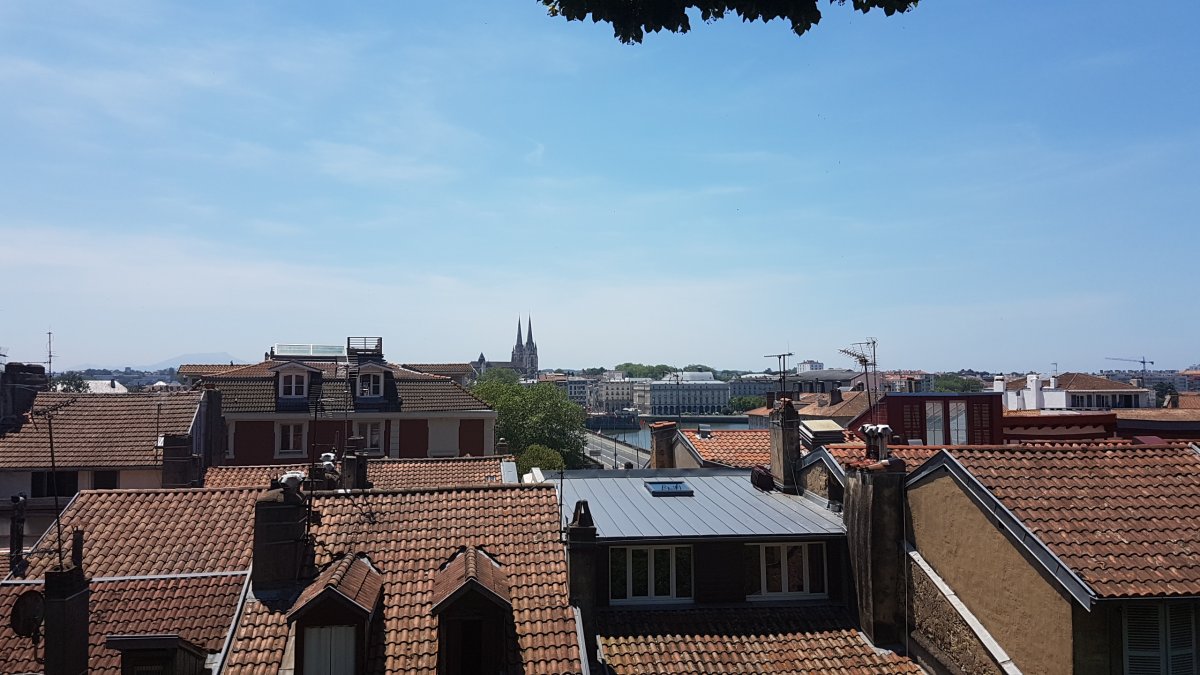 20170610_142306.jpg 10. Juni 2017 