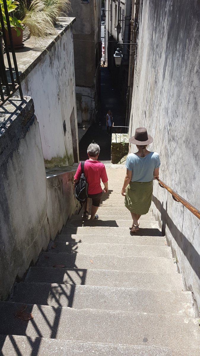 20170610_144232.jpg 10. Juni 2017 