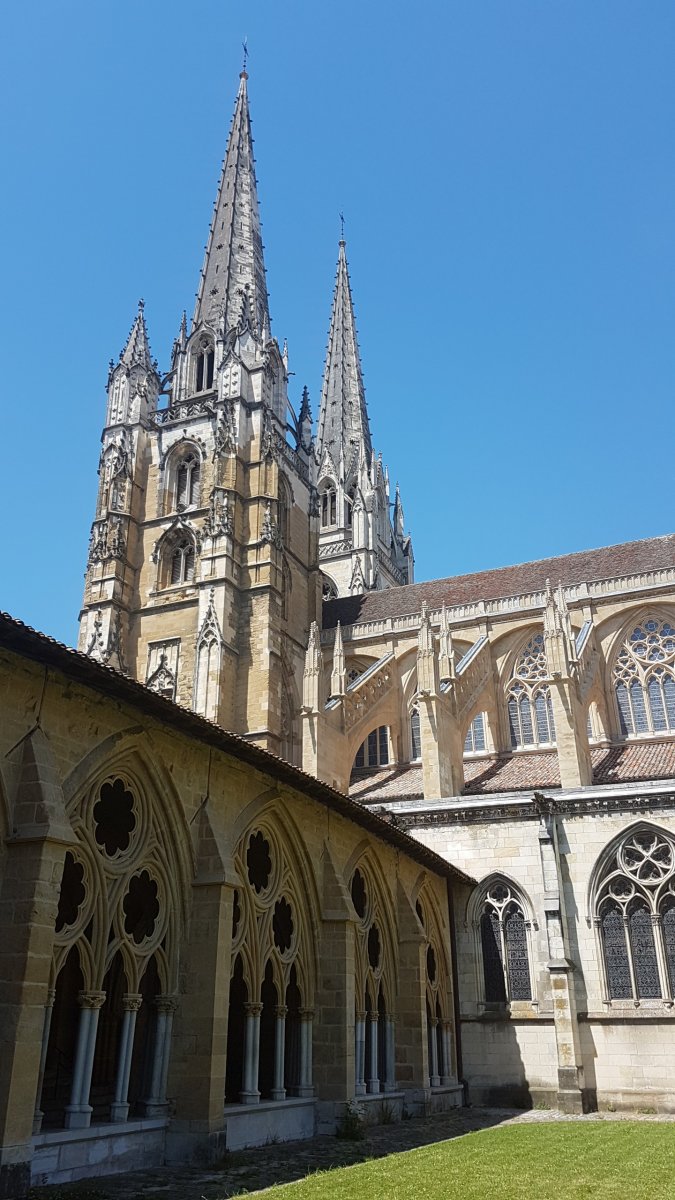 20170610_151501.jpg 10. Juni 2017 