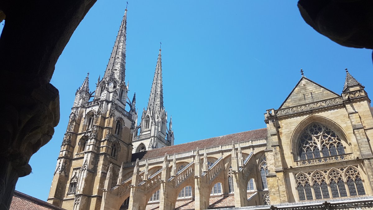 20170610_151532.jpg 10. Juni 2017