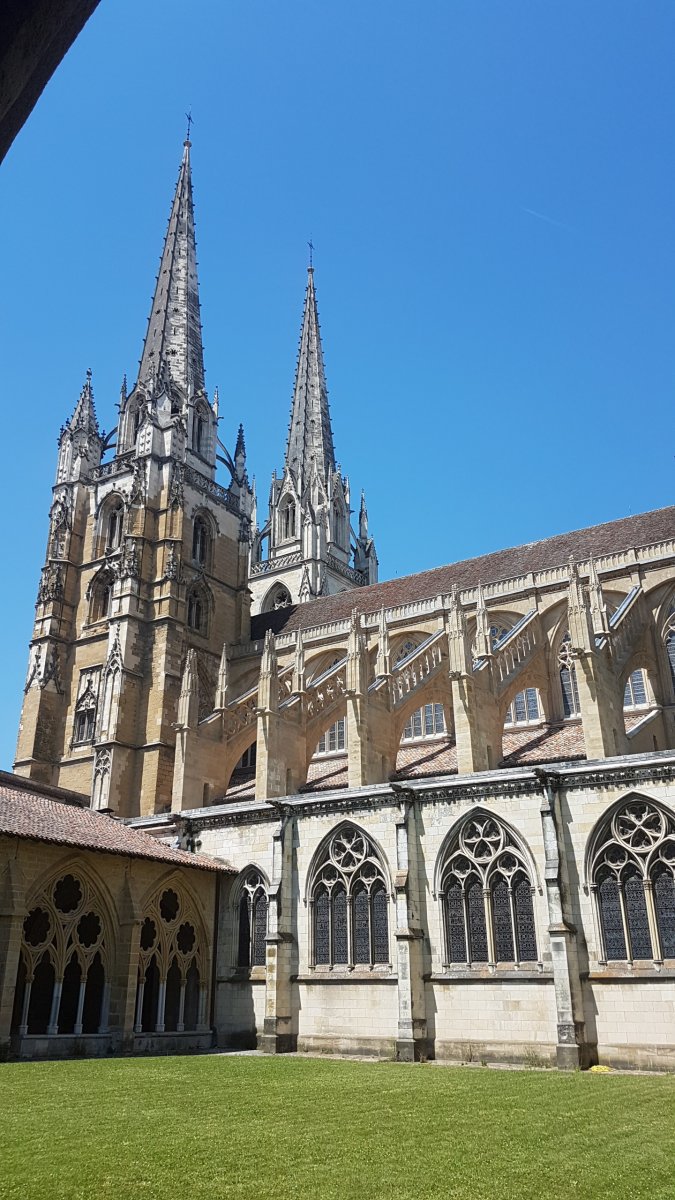 20170610_151544.jpg 10. Juni 2017 