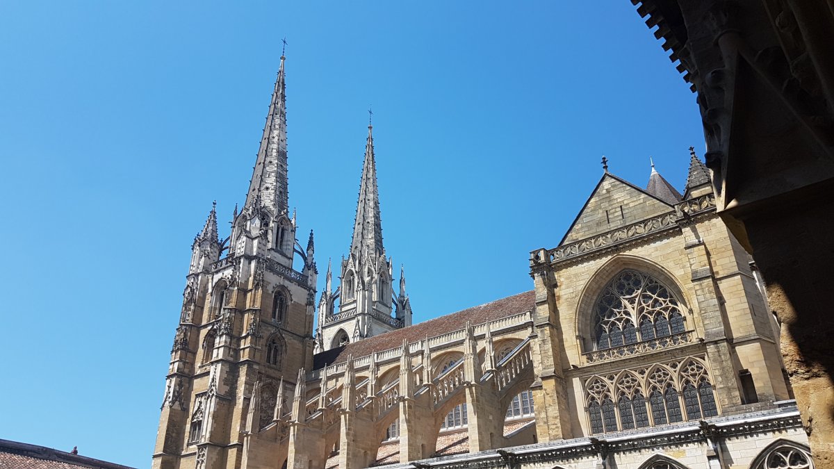 20170610_151609.jpg 10. Juni 2017 