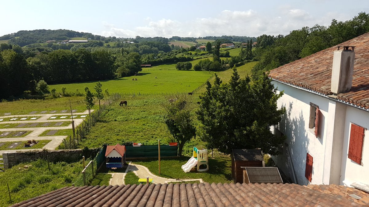 20170611_165740.jpg 11. Juni 2017 