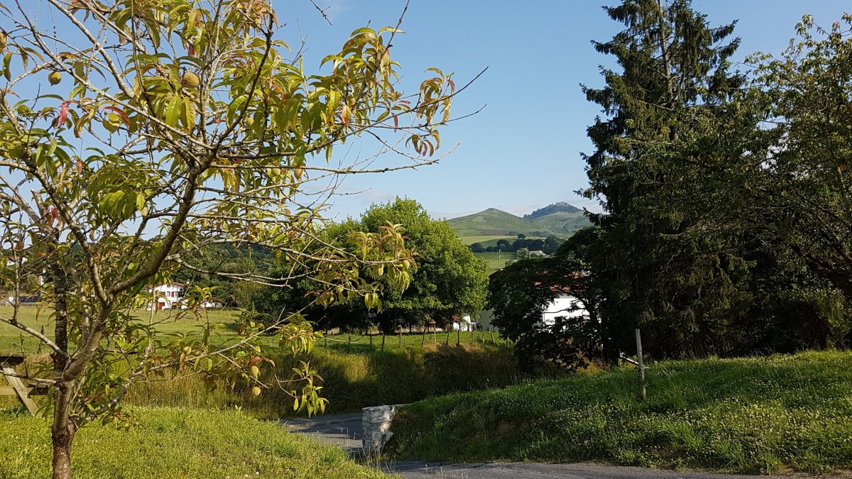 20170611_182915.jpg 11. Juni 2017