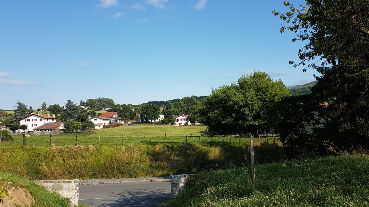 20170611_182953.jpg 11. Juni 2017 