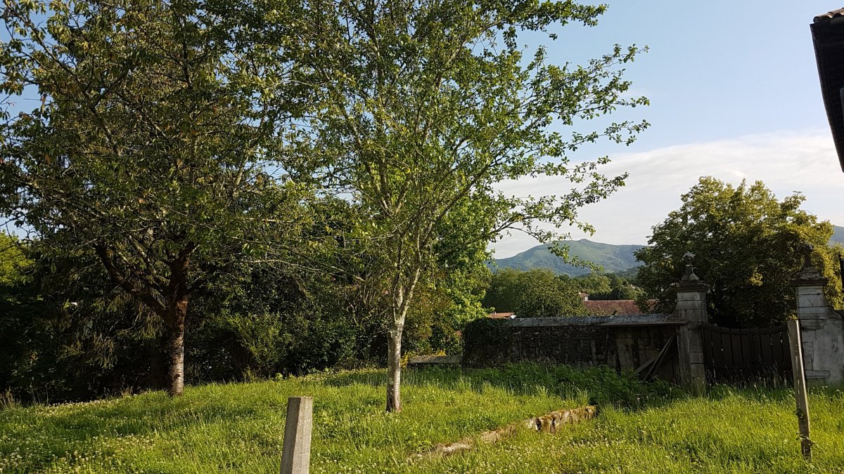 20170611_183033.jpg 11. Juni 2017 