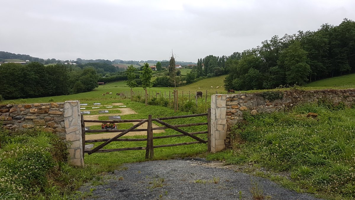 20170612_083229.jpg 12. Juni 2017 