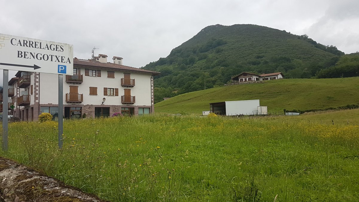 20170612_123317_001.jpg 12. Juni 2017 