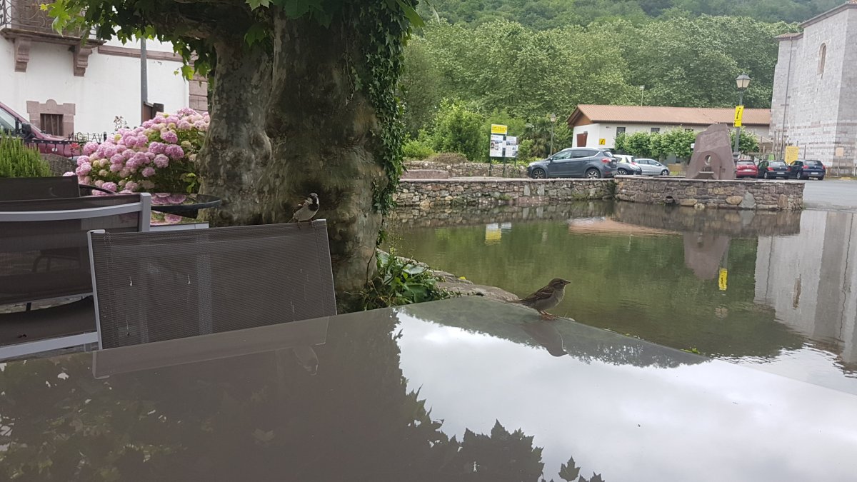 20170612_131037.jpg 12. Juni 2017